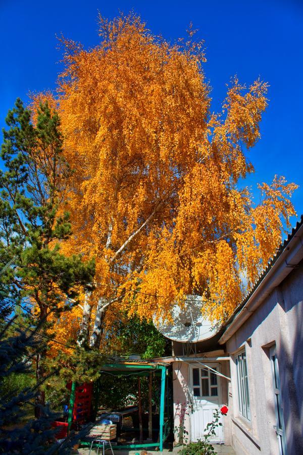 Tian-Shan Guest House Balykchy Exterior photo